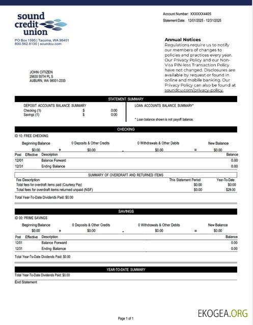 États Unis Washington Sound Credit Union Relevé de compte Modèle Word et PDF